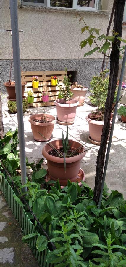 Draga Apartment Nesebar Exterior photo